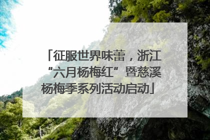 征服世界味蕾，浙江“六月杨梅红”暨慈溪杨梅季系列活动启动
