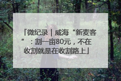 微纪录｜威海“新麦客”：割一亩80元，不在收割就是在收割路上