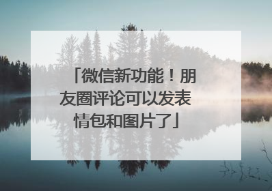 微信新功能！朋友圈评论可以发表情包和图片了