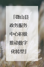 微山县政务服务中心积极推动数字化转型