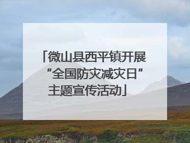 微山县西平镇开展“全国防灾减灾日”主题宣传活动