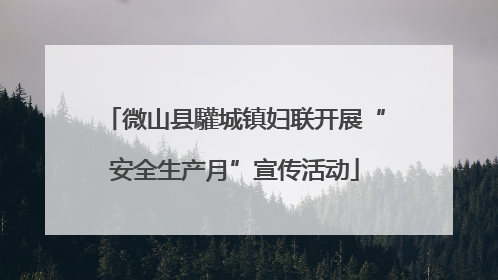 微山县驩城镇妇联开展“安全生产月”宣传活动
