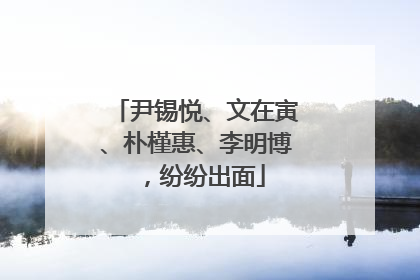 尹锡悦、文在寅、朴槿惠、李明博，纷纷出面