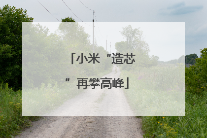 小米“造芯”再攀高峰