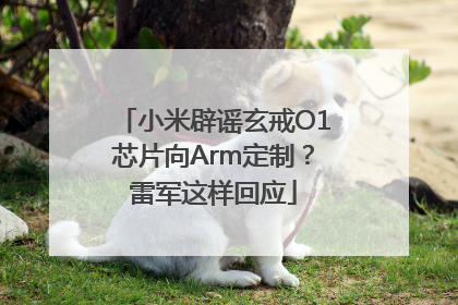 小米辟谣玄戒O1芯片向Arm定制？雷军这样回应