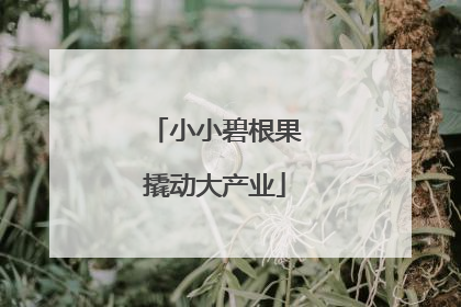 小小碧根果撬动大产业
