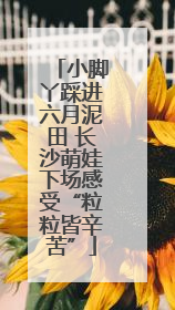 小脚丫踩进六月泥田 长沙萌娃下场感受“粒粒皆辛苦”