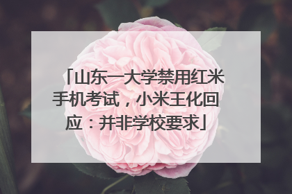 山东一大学禁用红米手机考试，小米王化回应：并非学校要求