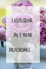 山东荣成：海上牧场风光如画