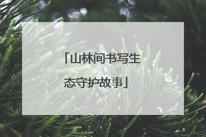 山林间书写生态守护故事