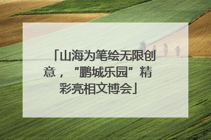 山海为笔绘无限创意，“鹏城乐园”精彩亮相文博会