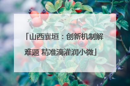 山西襄垣：创新机制解难题 精准滴灌润小微