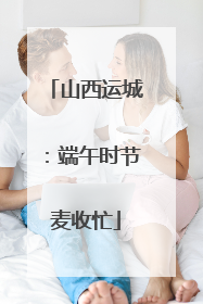 山西运城：端午时节麦收忙