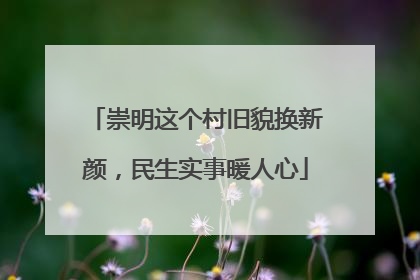 崇明这个村旧貌换新颜，民生实事暖人心