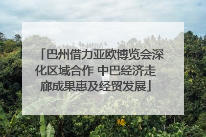 巴州借力亚欧博览会深化区域合作 中巴经济走廊成果惠及经贸发展