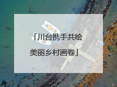 川台携手共绘美丽乡村画卷