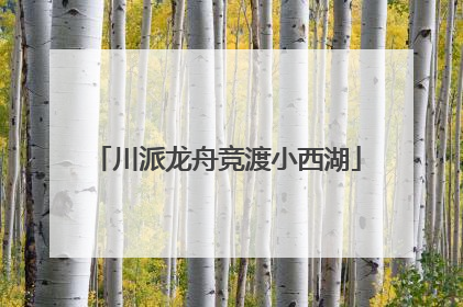 川派龙舟竞渡小西湖