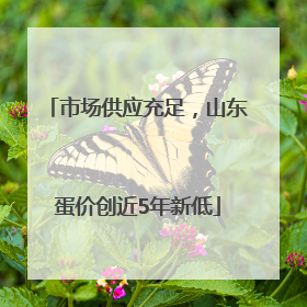 市场供应充足，山东蛋价创近5年新低