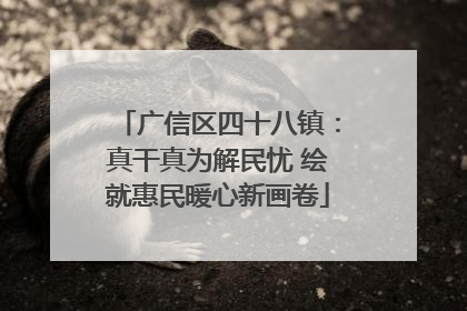 广信区四十八镇：真干真为解民忧 绘就惠民暖心新画卷