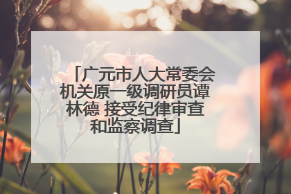 广元市人大常委会机关原一级调研员谭林德 接受纪律审查和监察调查