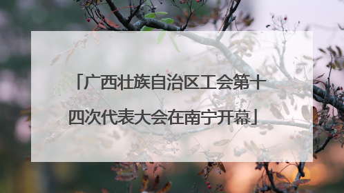 广西壮族自治区工会第十四次代表大会在南宁开幕