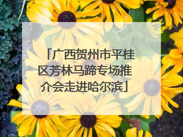 广西贺州市平桂区芳林马蹄专场推介会走进哈尔滨