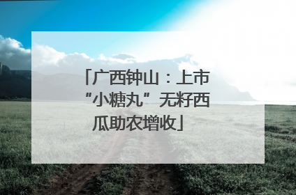 广西钟山：上市“小糖丸”无籽西瓜助农增收