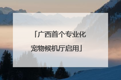 广西首个专业化宠物候机厅启用