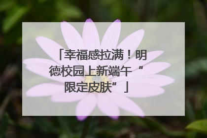 幸福感拉满！明德校园上新端午“限定皮肤”