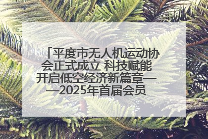平度市无人机运动协会正式成立 科技赋能开启低空经济新篇章——2025年首届会员大会暨无人机应用发展论坛成功举办