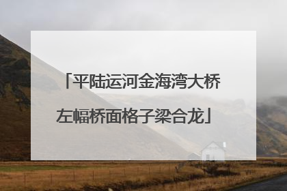 平陆运河金海湾大桥左幅桥面格子梁合龙