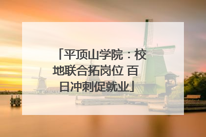 平顶山学院：校地联合拓岗位 百日冲刺促就业