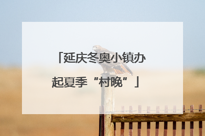 延庆冬奥小镇办起夏季“村晚”