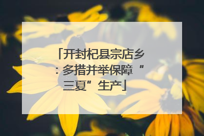 开封杞县宗店乡：多措并举保障“三夏”生产
