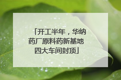 开工半年，华纳药厂原料药新基地四大车间封顶
