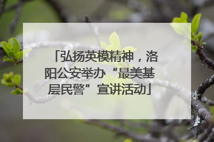 弘扬英模精神，洛阳公安举办“最美基层民警”宣讲活动