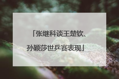 张继科谈王楚钦、孙颖莎世乒赛表现