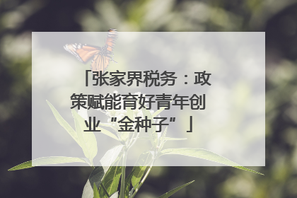 张家界税务：政策赋能育好青年创业“金种子”