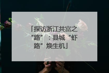 探访浙江共富之“路”：县城“虾路”焕生机