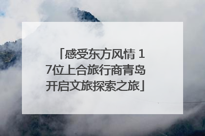 感受东方风情 17位上合旅行商青岛开启文旅探索之旅