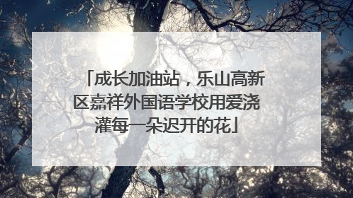 成长加油站，乐山高新区嘉祥外国语学校用爱浇灌每一朵迟开的花