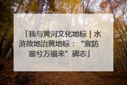 我与黄河文化地标｜水浒故地治黄地标：“宣防塞兮万福来”碑志
