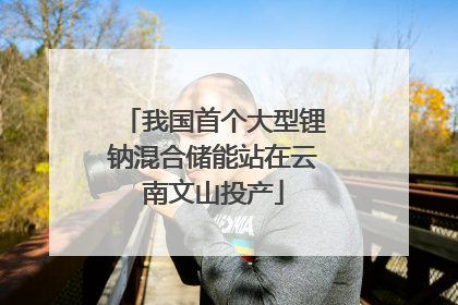 我国首个大型锂钠混合储能站在云南文山投产