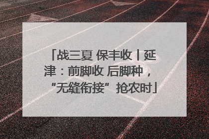 战三夏 保丰收丨延津：前脚收 后脚种，“无缝衔接”抢农时