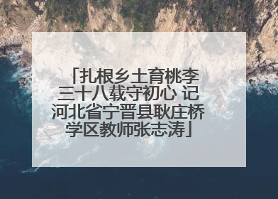 扎根乡土育桃李 三十八载守初心 记河北省宁晋县耿庄桥学区教师张志涛