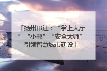 扬州邗江：“掌上大厅”“小邗”“安全大师”引领智慧城市建设