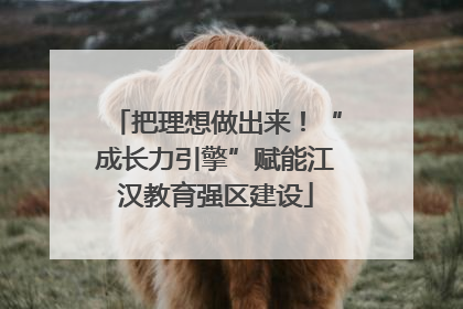 把理想做出来！“成长力引擎”赋能江汉教育强区建设