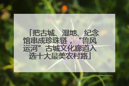 把古城、湿地、纪念馆串成珍珠链，“鲁风运河”古城文化廊道入选十大最美农村路