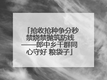 抢收抢种争分秒 禁烧禁抛筑防线——郎中乡干群同心守好 粮袋子