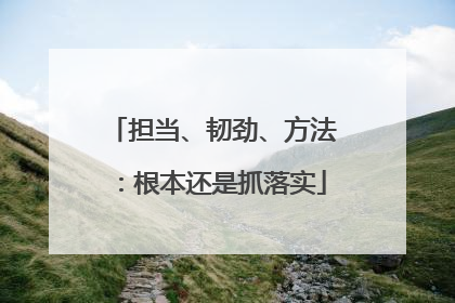 担当、韧劲、方法：根本还是抓落实